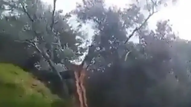 Fay ikiye böldüğü ağacı 10 metre taşıdı