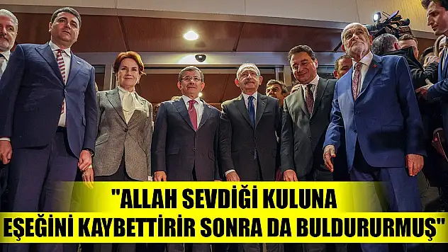 CHP'li belediye başkanından Meral Akşener'e eşek benzetmesi