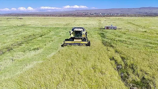 Küresel gıda fiyatlarında gerileme trendi durdu