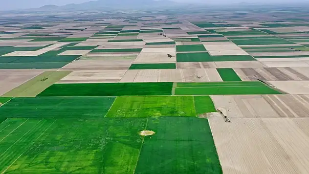 Tarım sektöründen tüm zamanların en yüksek ocak-şubat ihracatı