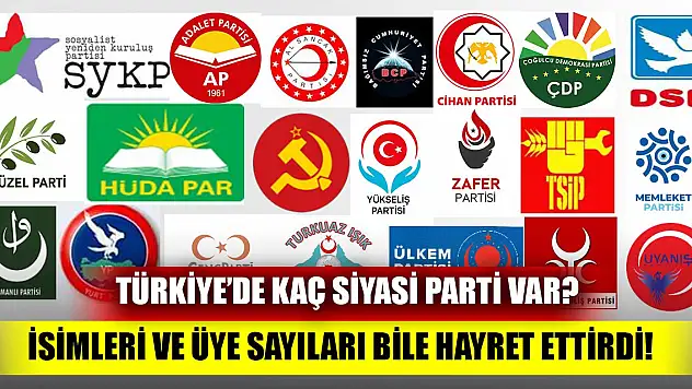 Türkiye'de kaç siyasi parti var? İsimleri ve üye sayıları bile hayret ettirdi