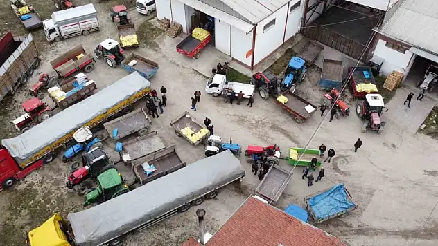 Duyan geldi, bir saat içinde bitti!