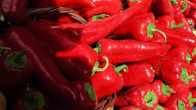 Halk pazarında güncel fiyatlar