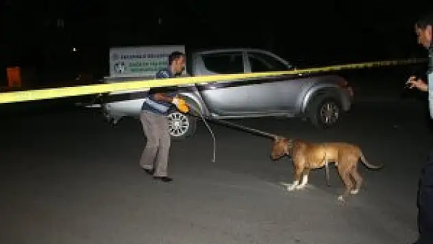 Çalıntı otomobilden 'pitbull' çıktı