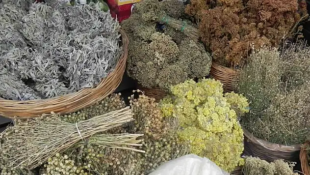 Bu hastalıkların şifa kaynağı