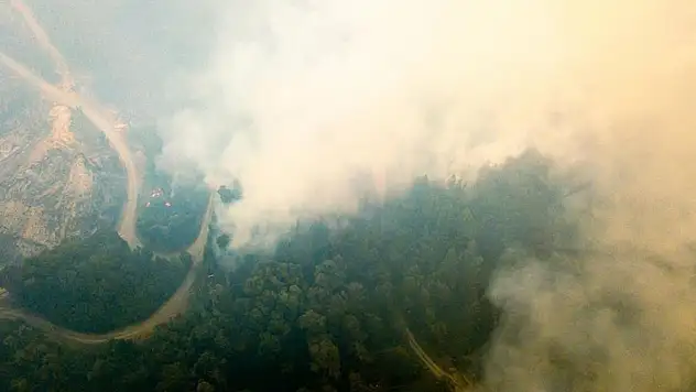 Orman yangınlarında 3 bin hektarlık alan kül oldu