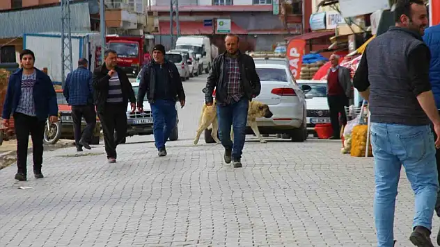 5 bin olan ilçe nüfusu depremden sonra 50 bine çıktı