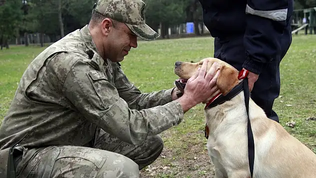 TSK'nın arama köpekleri 78 kişiyi kurtardı 'sessiz kahramanlar' madalya ile ödüllendirildi