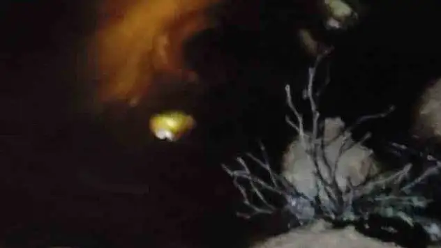 Boru hattından sızan ham petrol Dicle Nehri'ne aktı