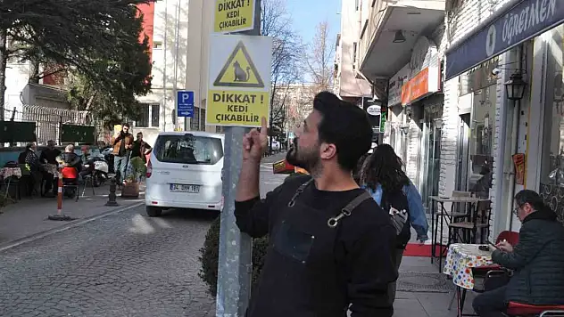 Ara sokakta hız yapan duyarsız sürücüler için 'kedili' önlem