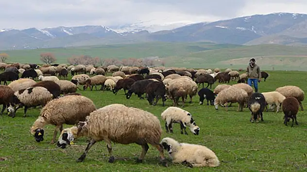 Tarımda yeni bir dönem