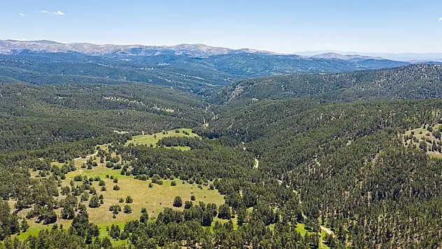 O ilde ormanlık alan 20 yılda yüzde 30 arttı