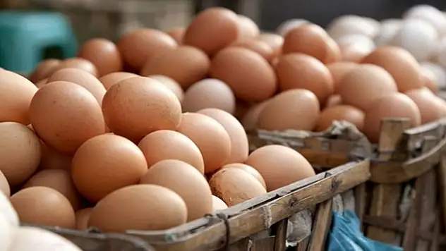 Yumurtada fiyat artışı beklenmiyor