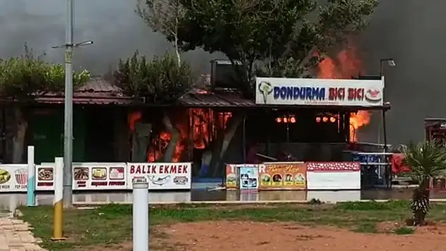 Ahşap kafe küller içinde