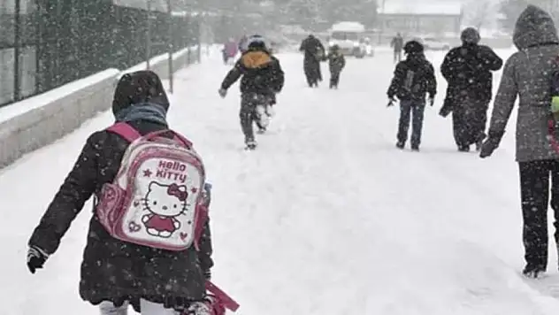 Ordu'da eğitime 'kar' engeli 7 ilçede okullar tatil