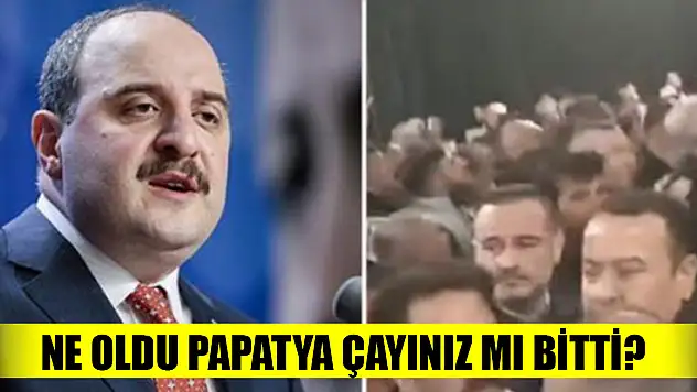 Ne oldu papatya çayınız mı bitti?