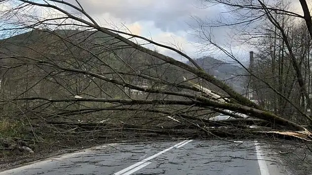 Meteoroloji'den o bölge için fırtına uyarısı