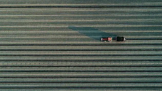 12 bin 676 projeye hibe desteği verilecek