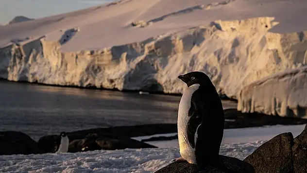 Türk bilim insanları canlı yaşamının koruyucusu oldu