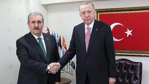 Cumhurbaşkanı Erdoğan, Destici ile görüştü