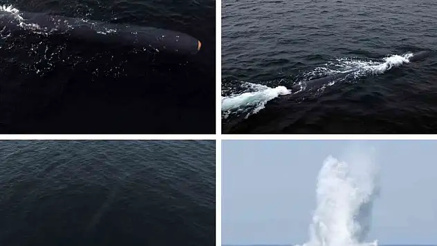 Kuzey Kore'den nükleer saldırı denemesi