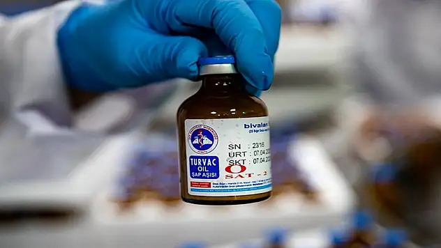 Bakan Kirişci: Yeni Tip Şap Aşısı Uygulanan Hayvan Sayısı Bugün 4,5 Milyona Ulaşacak