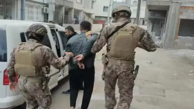 77 adrese kökünü kurutma operasyonu