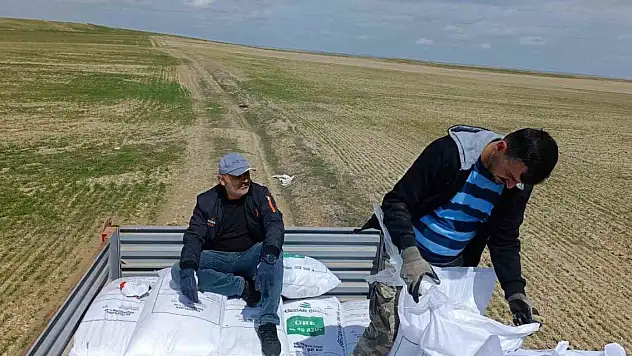 Kırşehir'de tarladaki mahsulleri soğuk vurdu