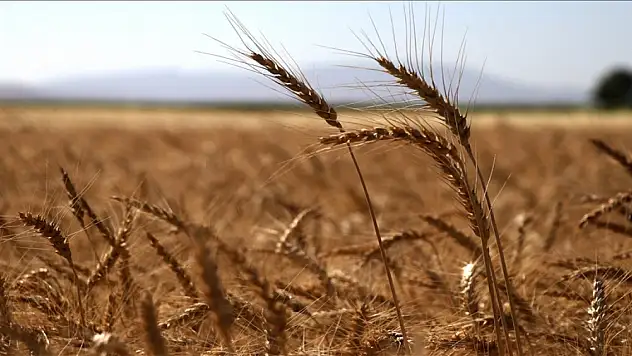 TMO Tüm Durumlara Karşı Hazırlıklı