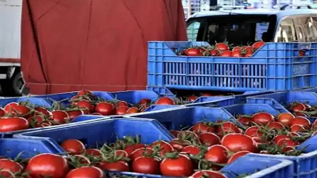 Bakanlık paylaştı! 77 bin TL ceza kesildi