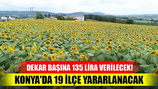 Dekar başına 135 lira verilecek! Konya'da 19 ilçe yararlanacak