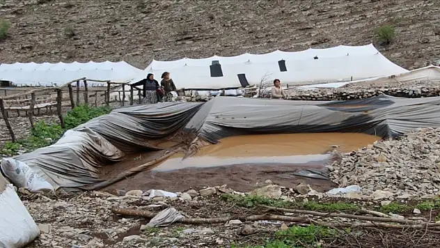 Şırnak'ta sel sularına kapılan 205 küçükbaş hayvan telef oldu
