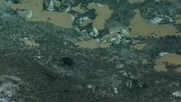 9 büyüklüğünde deprem korkusu! Fay hattında sızıntı tespit edildi