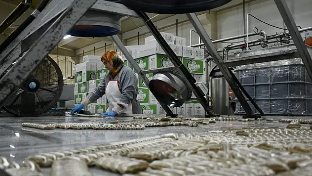 Şeker üreticilerinde bayram yoğunluğu
