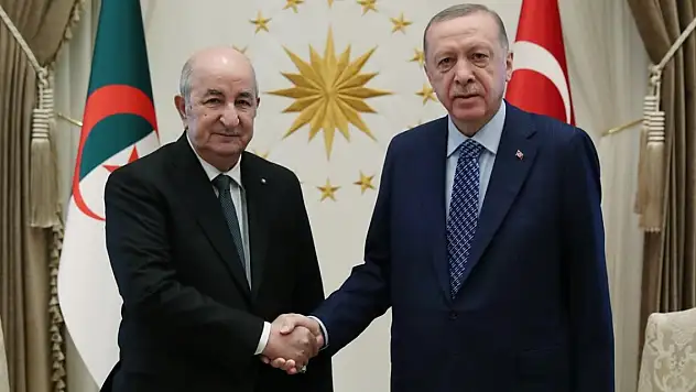 Cezayir Cumhurbaşkanı Tebbun, Cumhurbaşkanı Erdoğan ile Sudan'ı görüştü
