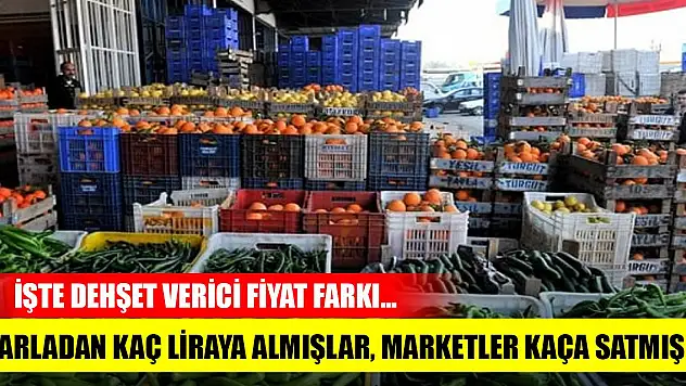 Tarlada kaç liraya satılmış, marketler tüketiciye kaç liraya satmış? İşte tarım ürünlerinde dehşet verici fiyat farkı...