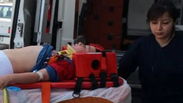 Ağaçtan düştü hastanelik oldu