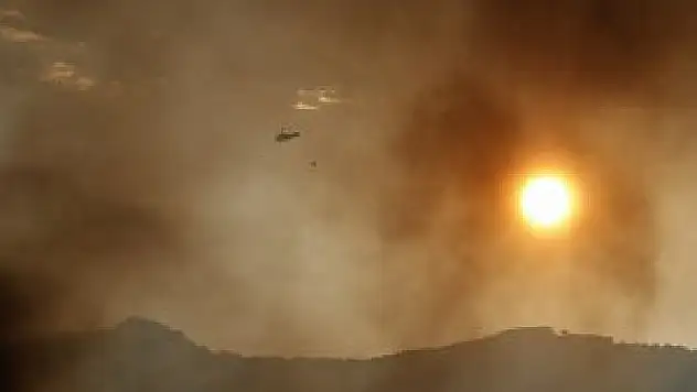 Buca'da ormanlık alanda yangın çıktı