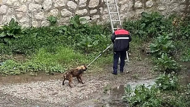 Yürek ısıtan operasyon