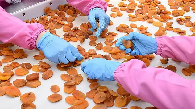 Bakanlıktan koruma kalkanı! Tam 1171 ürün