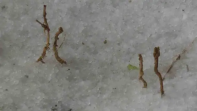 Konya'da önce dolu yağdı ardından güneş açtı