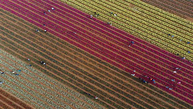 Karaman'daki lale bahçesi çok sayıda ziyaretçiyi ağırladı