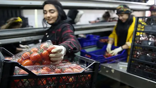 Sebze ve meyvelerin miktar kayıpları Hal Kayıt Sistemi'nden beyan edilebilecek