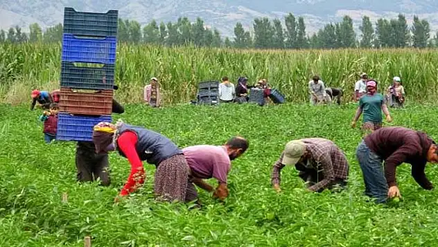 Tarladan ürünü ne kadara aldılar markette ne kadara satıldı? Nisan ayı için üretici ile market fiyatlarındaki fark ne kadar?