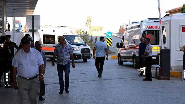 Arı sokmasına bağlı ciddi alerjik reaksiyonlar ölüme sebep olabilir