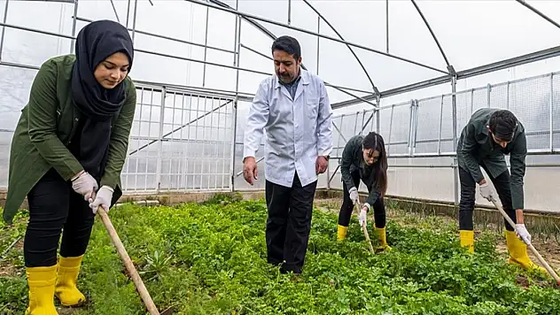 Milli Eğitim Bakanlığından tarım liseleri hamlesi