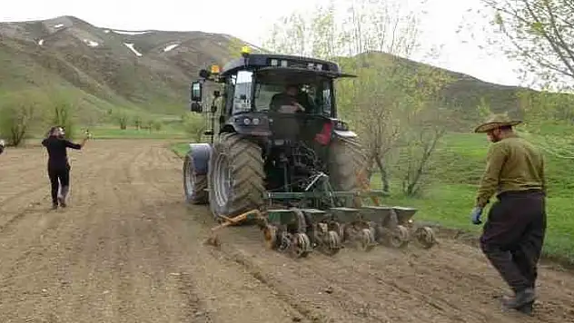 Yüksekova'da 35 yıl aradan sonra şeker pancarı ekimi yapıldı