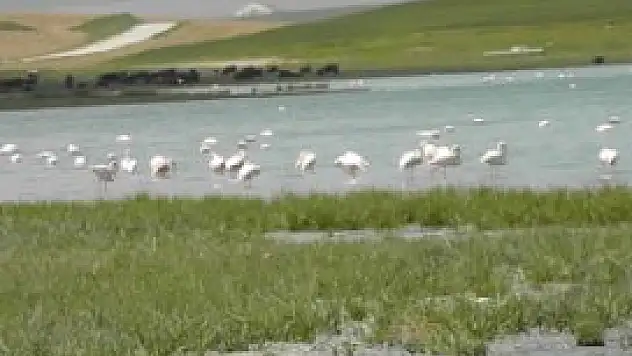 Konya'da trafik kazası