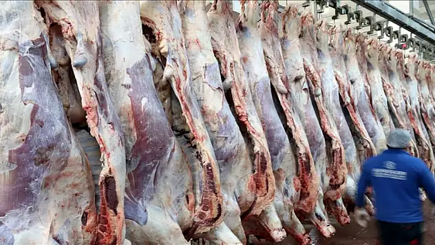 Kırmızı et üretiminde bir ilk! Rekor seviyeye ulaştı