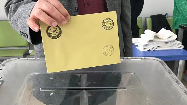 Litvanya'da Türkiye'deki seçimler için oy kullanma işlemi yarın başlıyor